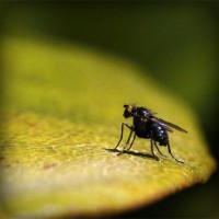 /album/mundo-dos-cal%c3%a7ados-/photolia-a07-jpg/